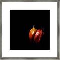 Autumn Pomegranate Framed Print