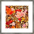 Autumn Potpourri Framed Print