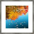 Autumn Reflections Framed Print