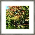 Autumn Reflections Framed Print