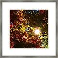 Autumn Sky Framed Print