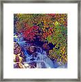 Autumn Stream 2 Framed Print