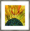Autumn Sunflower Framed Print