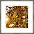 Autumn Sunset Print Framed Print