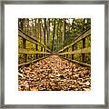 Autumn Trail 2 - Shenandoah Framed Print