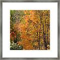 Autumn Tranquility 4 Framed Print