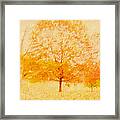 Autumn Trees Abstract Framed Print
