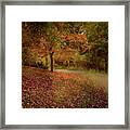 Autumn Walk 2 Framed Print