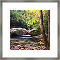 Autumn Whirlpool Framed Print