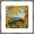 Autumn Wimdow Framed Print