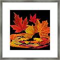 Autumn Winds - Colorful Leaves On Black Framed Print