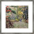 Autumn Woods Walk Framed Print