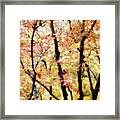 Autumnal Impressions Framed Print