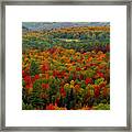 Autumns Colors Framed Print