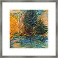 Autumn's Glory Framed Print