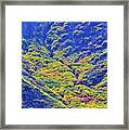 Avalanche Of Fall Color In Glenwood Springs Framed Print
