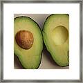 Avocado Framed Print