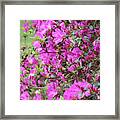 Azalea World Framed Print