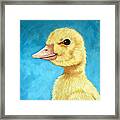 Baby Duck - Spring Duckling Framed Print
