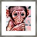 Baby Monkey Realistic Framed Print