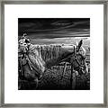 Back At The Ranch In Black And White Framed Print