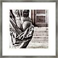 Back Statue Framed Print