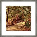 Backroads River Bridge Framed Print