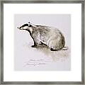 Badger, Watercolor Framed Print