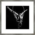 Balance Of Power 9 Framed Print