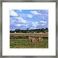 Bales Of Hay Framed Print