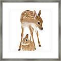 Bambi And Thumper Framed Print