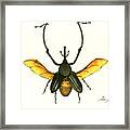 Bamboo Beetle Framed Print