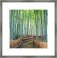 Bamboo Forest, Kyoto City, Kyoto Framed Print