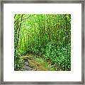 Bamboo Forest Trail Framed Print
