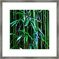 Bamboo Framed Print