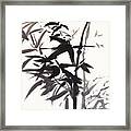 Bamboo Framed Print