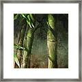 Bamboo Stalks Framed Print