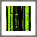 Bamboo Sticks Framed Print