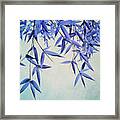 Bamboo Susurration Framed Print