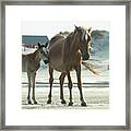 Banker Horses - 3 Framed Print