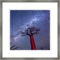 Baobab Milky Way Framed Print