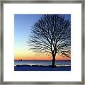 Bare Tree At Sunrise Framed Print