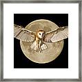 Barn Owl And Supermoon Composite Framed Print