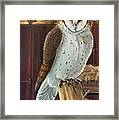 Barn Owl Framed Print