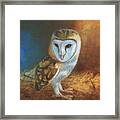 Barn Owl Blue Framed Print