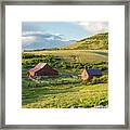 Barns And Lupine Framed Print