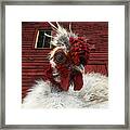 Barnyard Boss - Rooster With Attitude And Big Red Barn Framed Print