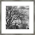 Winter In Cheesman Park, Denver, Co Empty Trees And Empty Benches Framed Print