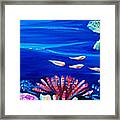 Barrier Reef Framed Print