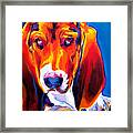 Basset - Ears Framed Print